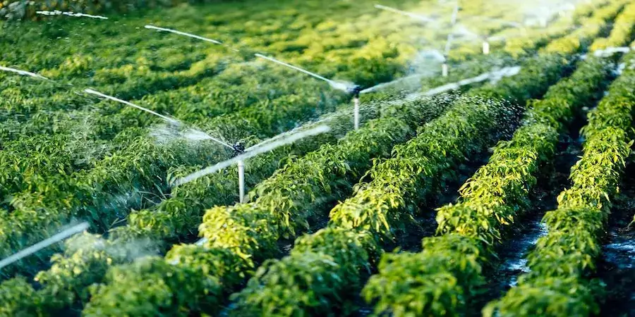 Smart Irrigation