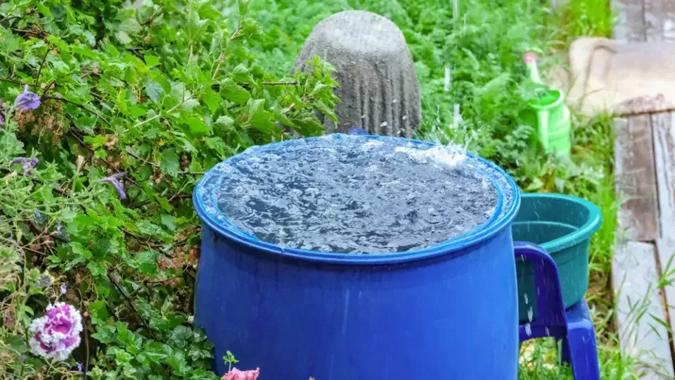 Community Rain Harvesting